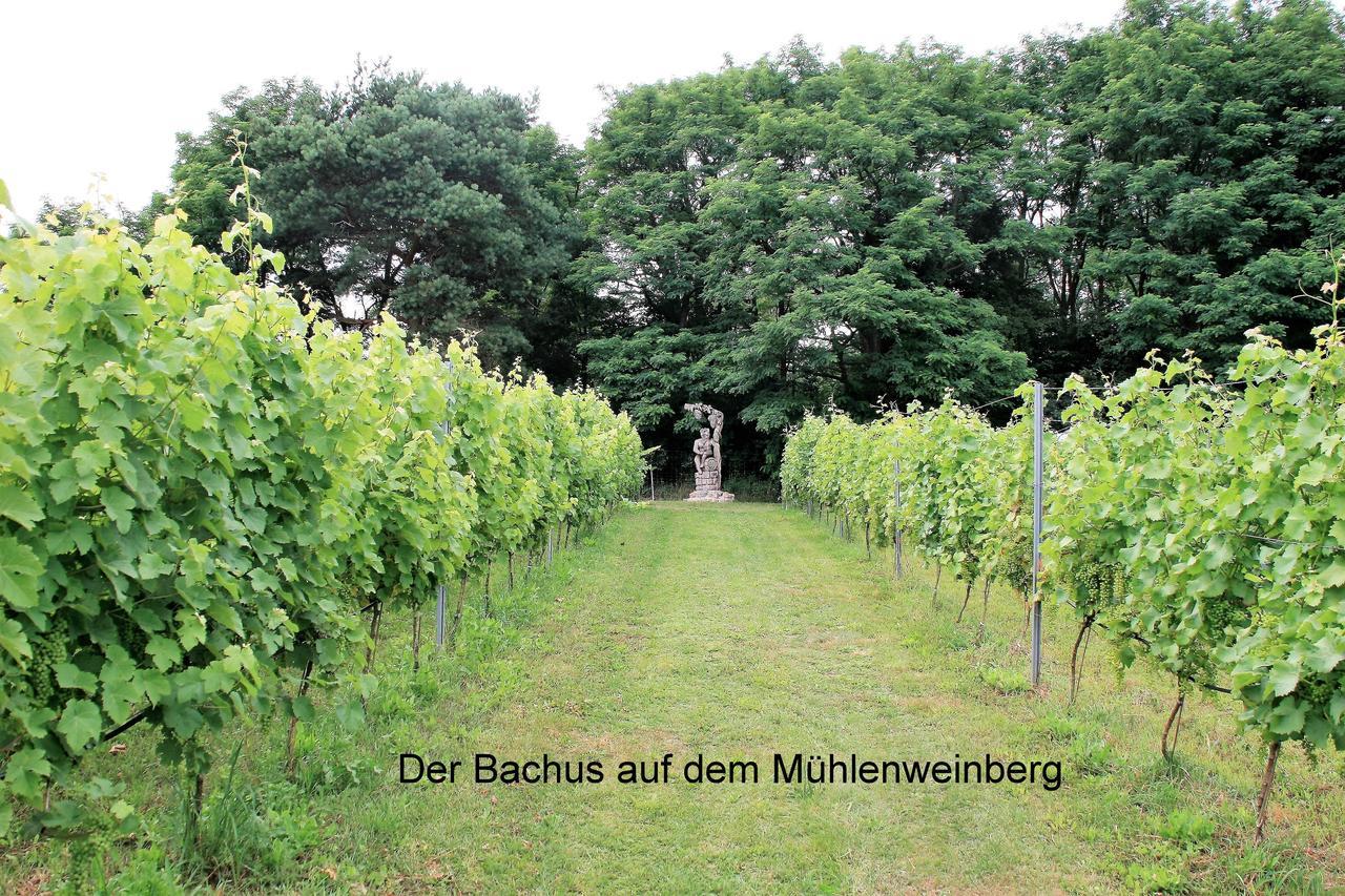 Ferienappartements Am Weinberg Bestensee Exterior foto